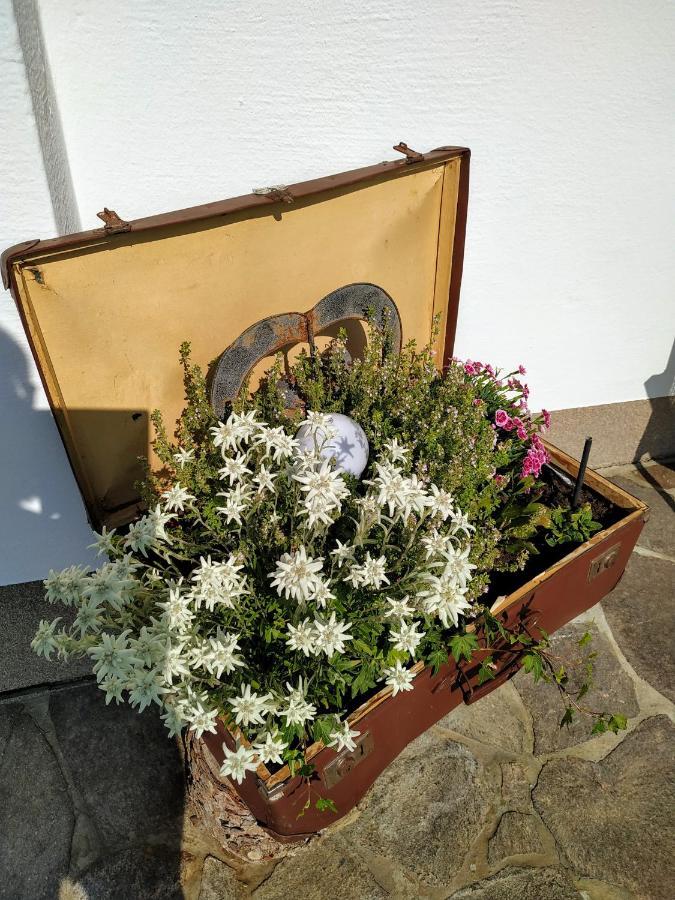 Marie Luise, Landhaus Reith bei Kitzbühel Εξωτερικό φωτογραφία